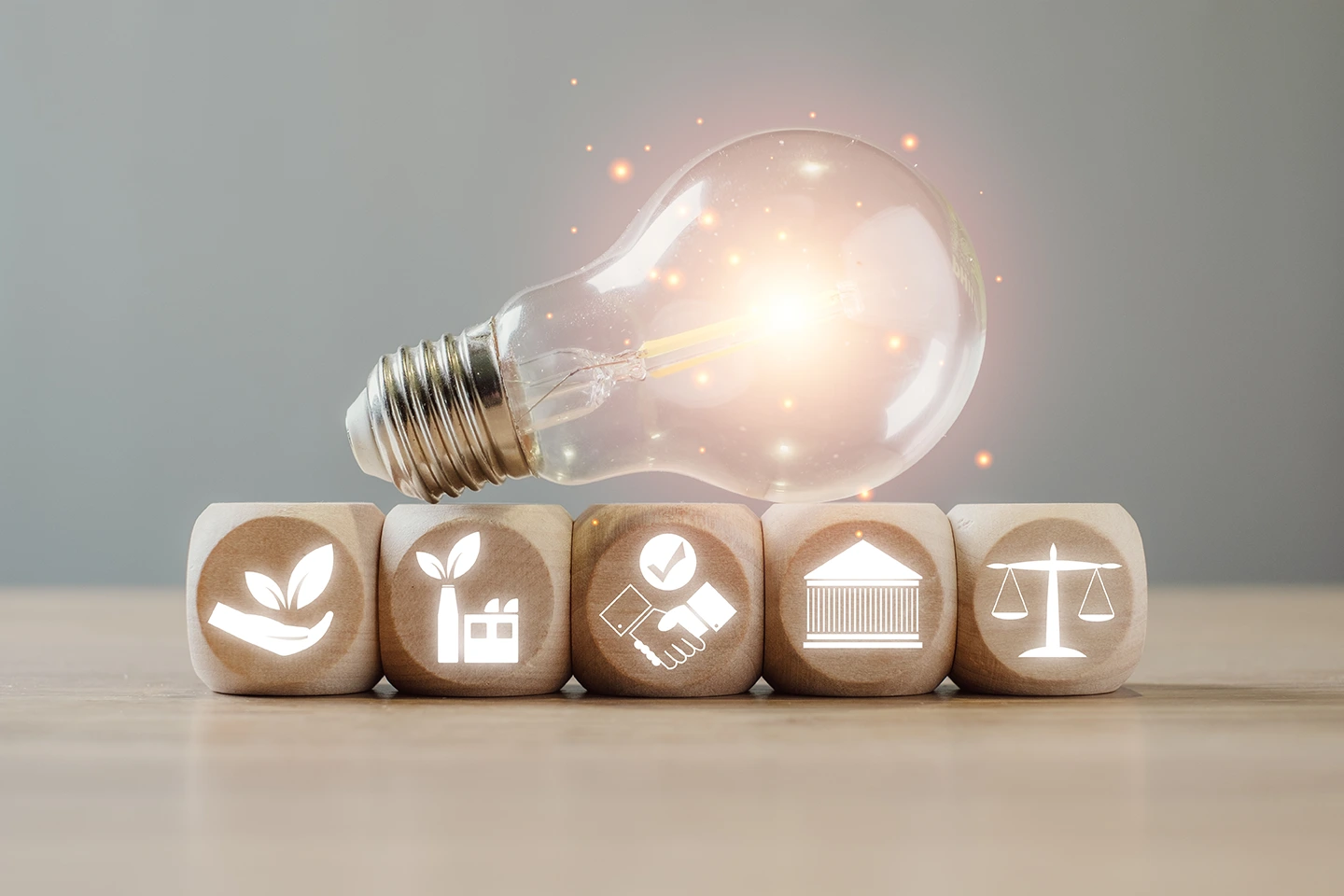 Sustainability Policies